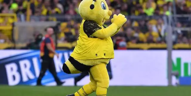 支参赛队 支参赛队