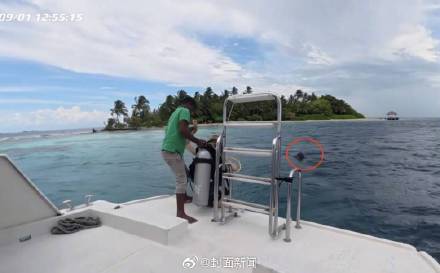 alt, 游客马尔代, img